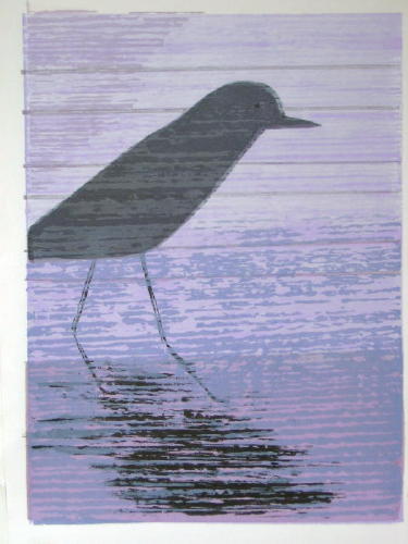 Bird on Shore SS.JPG